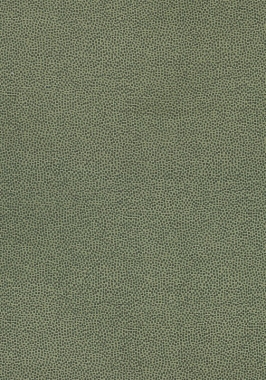 Ткань Thibaut Cadence Nala W74078 (шир.137 см)
