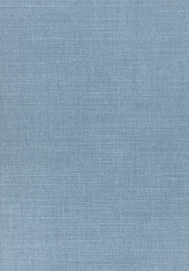 Ткань Thibaut Woven Resource 12 Prisma W70158 (шир.137 см)