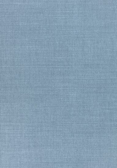 Ткань Thibaut Woven Resource 12 - Prisma W70158