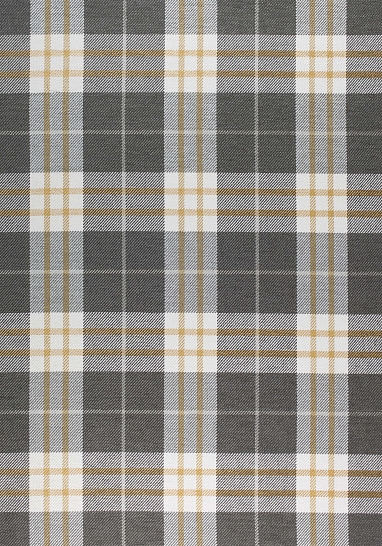 Ткань Thibaut Woven Resource 9-Stripes/Pla W80079