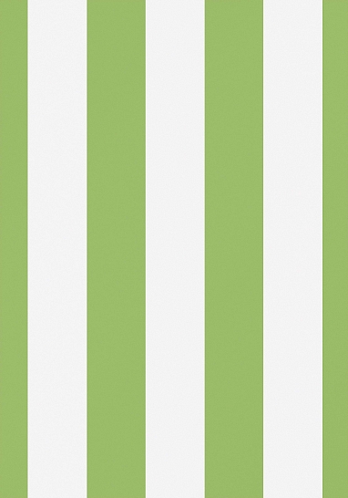 Ткань Thibaut Woven Resource 9-Stripes/Pla W80094