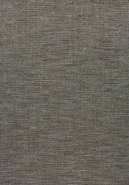 Ткань Thibaut Woven Resource 11-Rialto Dante W80701 (шир.137 см)
