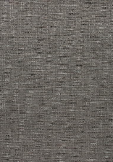 Ткань Thibaut Woven Resource 11-Rialto W80701