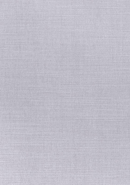 Ткань Thibaut Woven Resource 12 Prisma W70135 (шир.137 см)