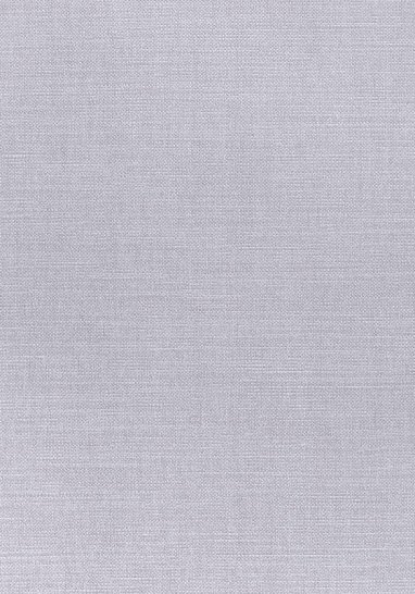 Ткань Thibaut Woven Resource 12 - Prisma W70135