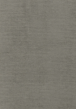 Ткань Thibaut W80241