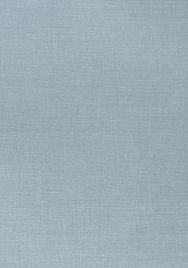Ткань Thibaut Woven Resource 12 Prisma W70160 (шир.137 см)