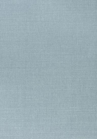 Ткань Thibaut Woven Resource 12 - Prisma W70160