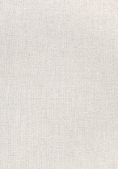 Ткань Thibaut Woven Resource 8-Luxe Texture W724110