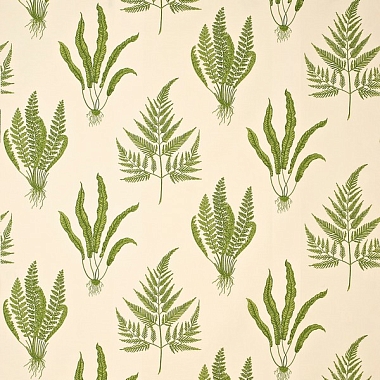 Ткань Sanderson One Sixty Woodland Ferns DAPGWO202 (137 см)