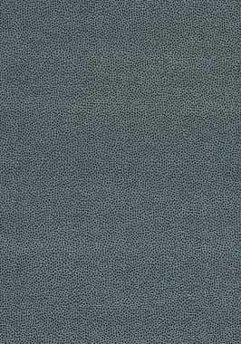 Ткань Thibaut Cadence Nala W74079 (шир.137 см)