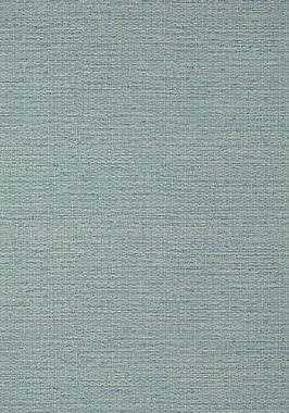 Обои Thibaut Texture Resource VII Prairie Weave T10964 (0,686*8,20)