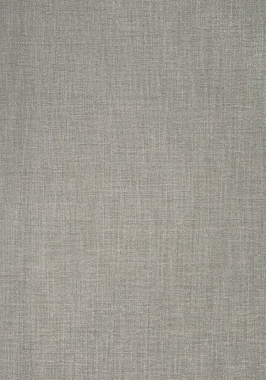Ткань Thibaut Woven Resource 8-Luxe Texture W724115