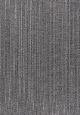 Ткань Thibaut Nomad Brooks W73373 (шир. 137 см)