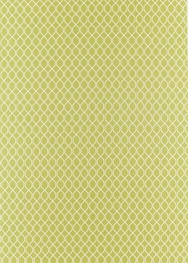 Ткань Sanderson Linnean weaves Botanic Trellis - Lime 236790 (ш.140см)