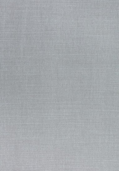 Ткань Thibaut Woven Resource 12 - Prisma W70118