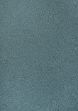 Ткань Thibaut Sierra Arcata W78390 (шир.137 см)