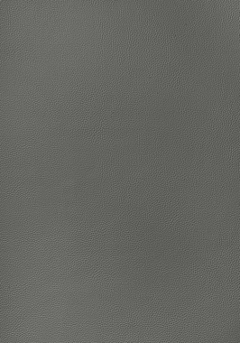 Ткань Thibaut Sierra Arcata W78389 (шир.137 см)