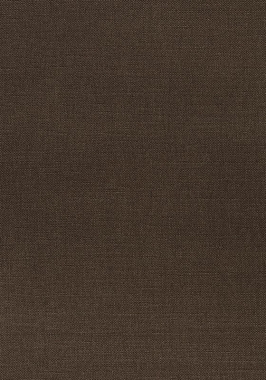 Ткань Thibaut Woven Resource 12 Prisma W70110 (шир.137 см)