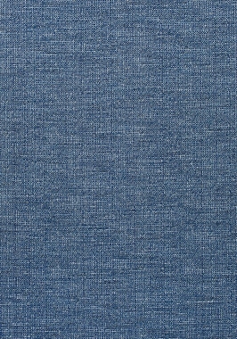 Ткань Thibaut Woven Resource 11-Rialto Dante W80700 (шир.137 см)