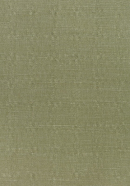 Ткань Thibaut Woven Resource 12 Prisma W70137 (шир.137 см)