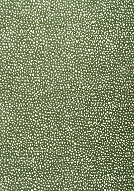 Ткань Thibaut Sierra Fawn W78355 (шир.137 см)