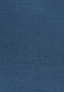 Ткань Thibaut Woven Resource 12 Prisma W70153 (шир.137 см)