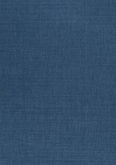 Ткань Thibaut Woven Resource 12 - Prisma W70153