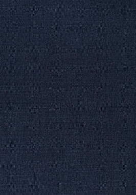 Ткань Thibaut Woven Resource 12 Prisma W70155 (шир.137 см)