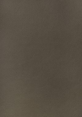 Ткань Thibaut Sierra Arcata W78397 (шир.137 см)