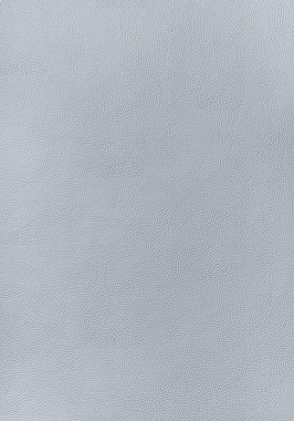 Ткань Thibaut Sierra Arcata W78387 (шир.137 см)
