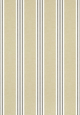 Обои Thibaut Pavilion Canvas Stripe T13358 (0,68*8,23)