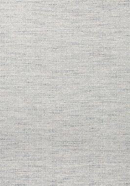 Ткань Thibaut Woven Resource 11-Rialto Dante W80695 (шир.137 см)