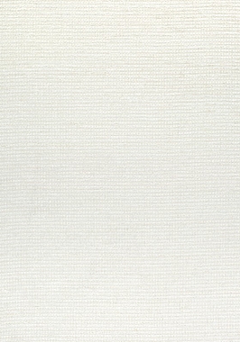 Ткань Thibaut Nomad Milo W73318 (шир. 137 см)