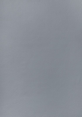 Ткань Thibaut Sierra Arcata W78388 (шир.137 см)
