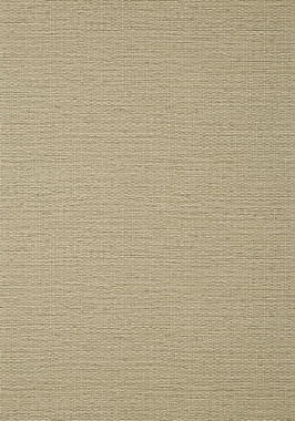 Обои Thibaut Texture Resource VII Prairie Weave T10963 (0,686*8,20)