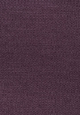 Ткань Thibaut Woven Resource 12 Prisma W70134 (шир.137 см)