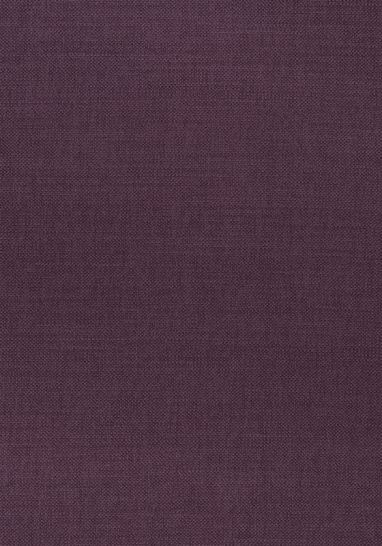 Ткань Thibaut Woven Resource 12 - Prisma W70134