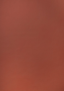 Ткань Thibaut Sierra Arcata W78394 (шир.137 см)