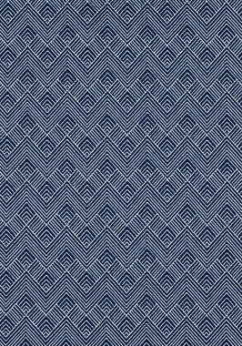 Ткань Thibaut Nomad Maddox W73336 (шир. 137 см)