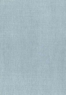 Ткань Thibaut Woven Resource 12 Prisma W70159 (шир.137 см)