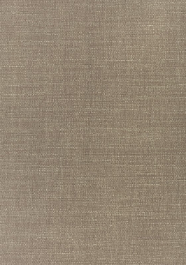 Ткань Thibaut Woven Resource 12 Prisma W70109 (шир.137 см)