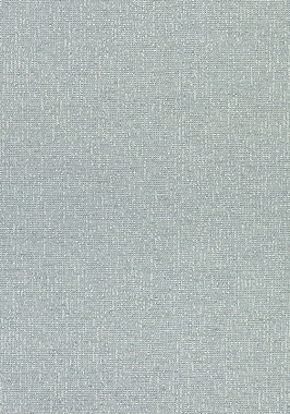 Ткань Thibaut Cadence Everly W74061 (шир.137 см)