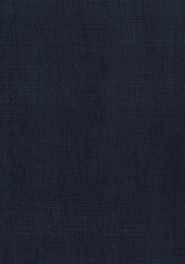 Ткань Thibaut Woven Resource 12 Prisma W70157 (шир.137 см)