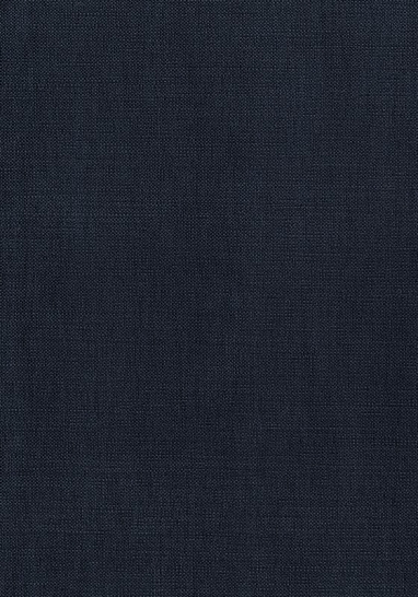 Ткань Thibaut Woven Resource 12 - Prisma W70157