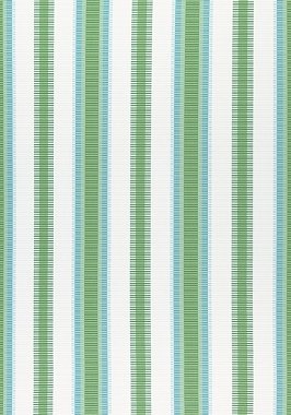 Ткань Thibaut Festival Samba Stripe W74672  (шир.137 см)