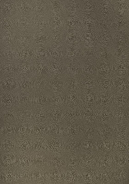 Ткань Thibaut Sierra Arcata W78396 (шир.137 см)