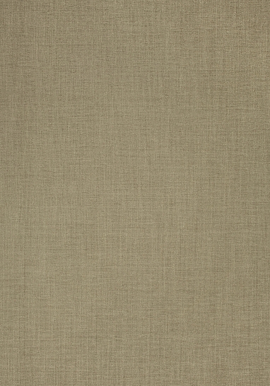 Ткань Thibaut Woven Resource 8-Luxe Texture W724119