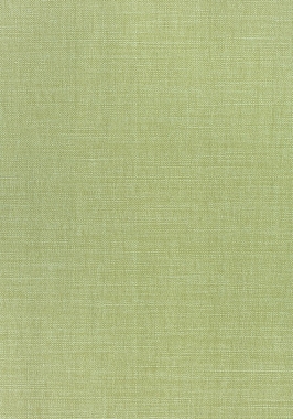 Ткань Thibaut Woven Resource 12 Prisma W70138 (шир.137 см)
