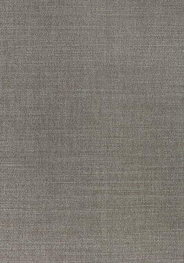 Ткань Thibaut Woven Resource 12 Prisma W70112 (шир.137 см)